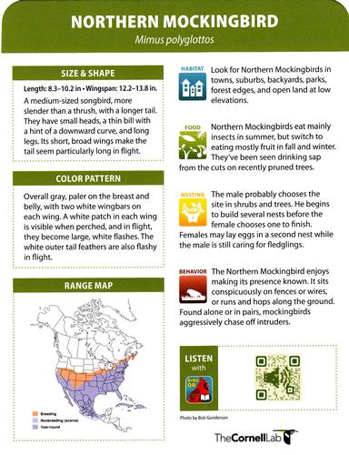 2020 Backyard Birds Eastern & Central North America #NNO Northern Mockingbird Back