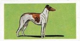 1958 Mills Dogs #19 Greyhound Front
