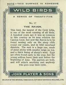 1934 Player's Wild Birds (Large) #17 The Raven Back