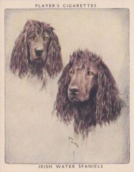 1955 Player's Dogs Pairs and Groups (Large) (Unissued) #21 Irish Water Spaniels Front