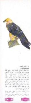 1970 Lipton Tea Birds of Prey (Arabic Text) #NNO Lammergeier Front