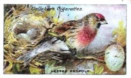 1919 Gallaher Birds Nests & Eggs Series #73 Lesser Redpoll Front