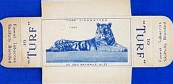 1954 Turf Zoo Animals - Uncut Singles #23 Tiger Front
