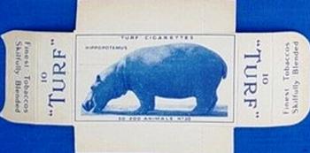 1954 Turf Zoo Animals - Uncut Singles #30 Hippopotamus Front