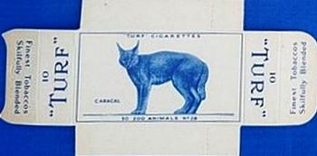 1954 Turf Zoo Animals - Uncut Singles #39 Caracal Front