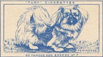 1952 Turf Famous Dogs Breeds #7 Pekingese Front