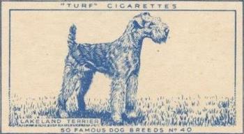 1952 Turf Famous Dogs Breeds #40 Lakeland Terrier Front