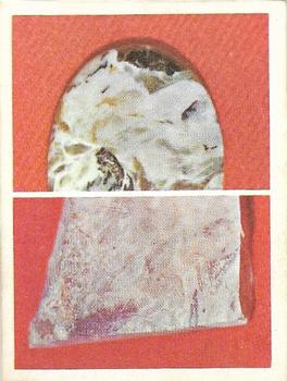 1970 Weet-Bix Collecting Australian Gemstones #15 Prase Front
