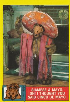 1987 Topps ALF #39 Siamese & Mayo. Oh! I thought you said Cinco de Mayo Front