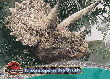 1997 Topps The Lost World: Jurassic Park #42 Triceratops in the Brush Front