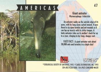 1993 Cardz The World Famous San Diego Zoo Animals of the Wild #47 Giant anteater Back