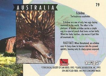 1993 Cardz The World Famous San Diego Zoo Animals of the Wild #79 Echidna Back