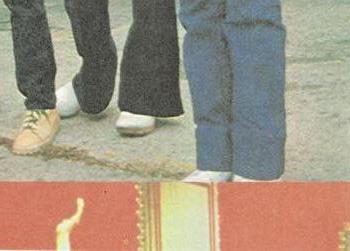 1979 Donruss Rock Stars #25 Queen (Freddie) Back