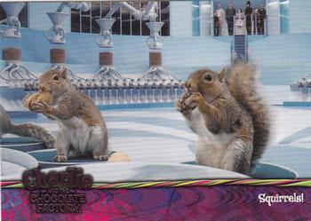 2005 ArtBox Charlie and the Chocolate Factory #69 Squirrels! Front