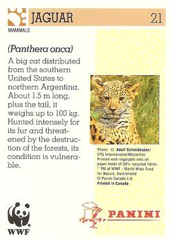 1992 Panini Wildlife In Danger #21 Jaguar Back