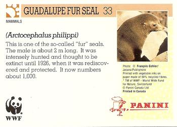 1992 Panini Wildlife In Danger #33 Guadalupe Fur Seal Back