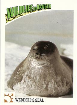1992 Panini Wildlife In Danger #35 Weddell's Seal Front