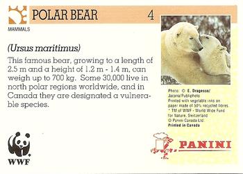 1992 Panini Wildlife In Danger #4 Polar Bear Back