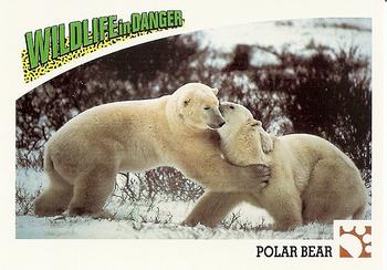 1992 Panini Wildlife In Danger #4 Polar Bear Front