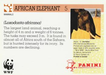 1992 Panini Wildlife In Danger #5 African Elephant Back