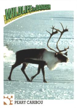 1992 Panini Wildlife In Danger #12 Peary Caribou Front