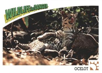1992 Panini Wildlife In Danger #22 Ocelot Front
