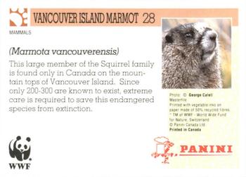 1992 Panini Wildlife In Danger #28 Vancouver Island Marmot Back