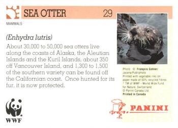 1992 Panini Wildlife In Danger #29 Sea Otter Back