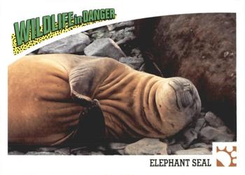 1992 Panini Wildlife In Danger #32 Elephant Seal Front