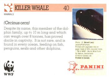 1992 Panini Wildlife In Danger #40 Killer Whale Back