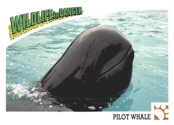 1992 Panini Wildlife In Danger #41 Pilot Whale Front