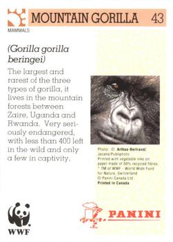 1992 Panini Wildlife In Danger #43 Mountain Gorilla Back
