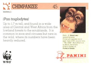 1992 Panini Wildlife In Danger #45 Chimpanzee Back