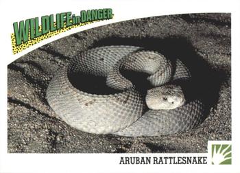 1992 Panini Wildlife In Danger #53 Aruban Rattlesnake Front