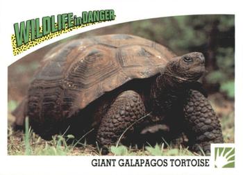 1992 Panini Wildlife In Danger #56 Giant Galapagos Tortoise Front