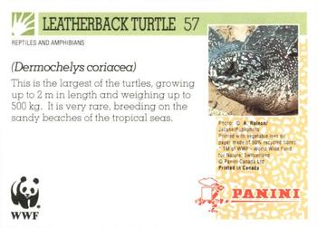 1992 Panini Wildlife In Danger #57 Leatherback Turtle Back
