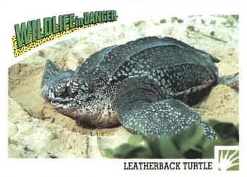 1992 Panini Wildlife In Danger #57 Leatherback Turtle Front
