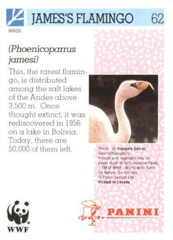1992 Panini Wildlife In Danger #62 James's Flamingo Back