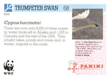 1992 Panini Wildlife In Danger #68 Trumpeter Swan Back