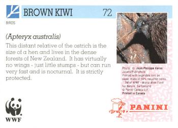 1992 Panini Wildlife In Danger #72 Brown Kiwi Back