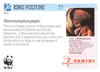 1992 Panini Wildlife In Danger #77 King Vulture Back