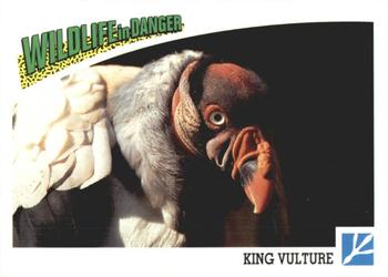 1992 Panini Wildlife In Danger #77 King Vulture Front