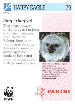 1992 Panini Wildlife In Danger #79 Harpy Eagle Back