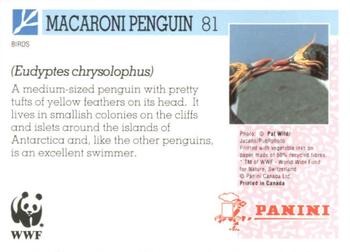 1992 Panini Wildlife In Danger #81 Macaroni Penguin Back