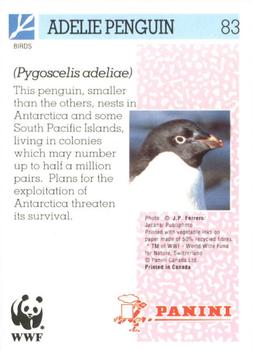 1992 Panini Wildlife In Danger #83 Adelie Penguin Back