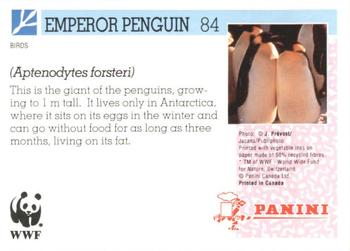 1992 Panini Wildlife In Danger #84 Emperor Penguin Back