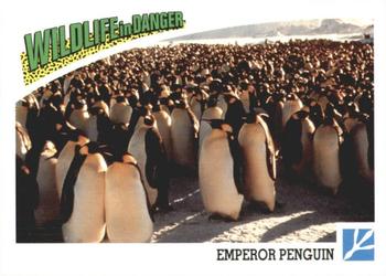 1992 Panini Wildlife In Danger #84 Emperor Penguin Front