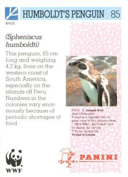1992 Panini Wildlife In Danger #85 Humboldt's Penguin Back