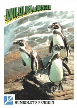 1992 Panini Wildlife In Danger #85 Humboldt's Penguin Front