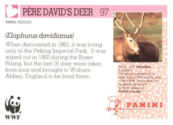 1992 Panini Wildlife In Danger #97 Père David's Deer Back